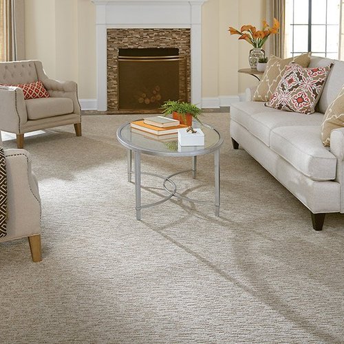 Beautiful textured carpet in Dickinson TX from Flooring Source