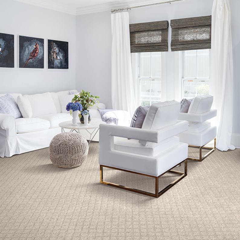 What is the best carpet for me?