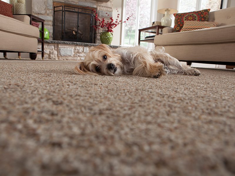 Contact us to learn more