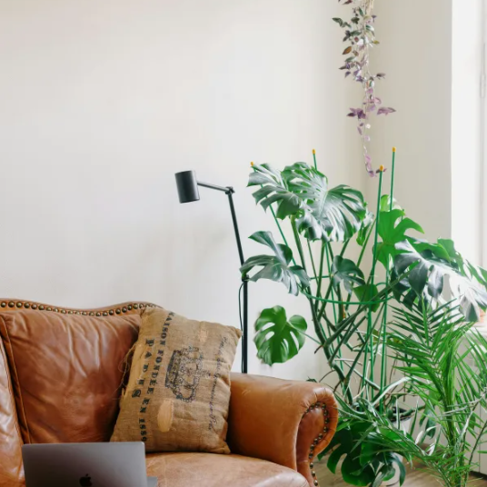 Why hardwood flooring will always be in style